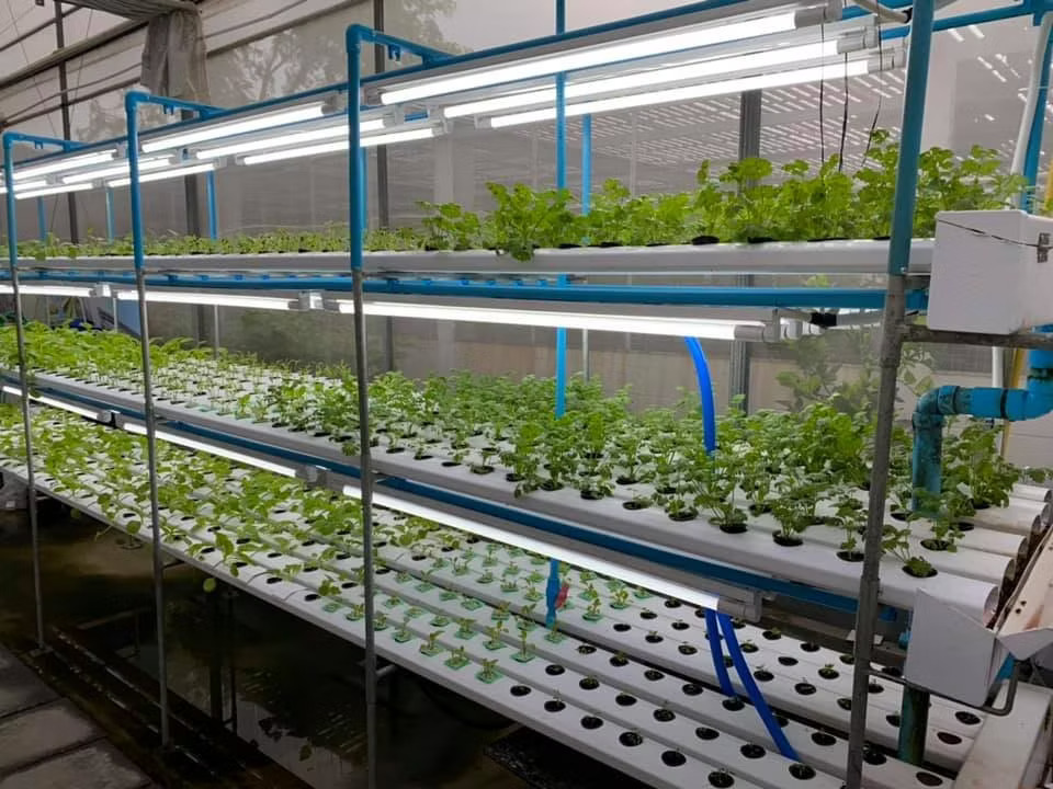 VGS 200 Growing System