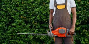 Commercial Hedge Trimming for Businesses: Why First Impressions Matter