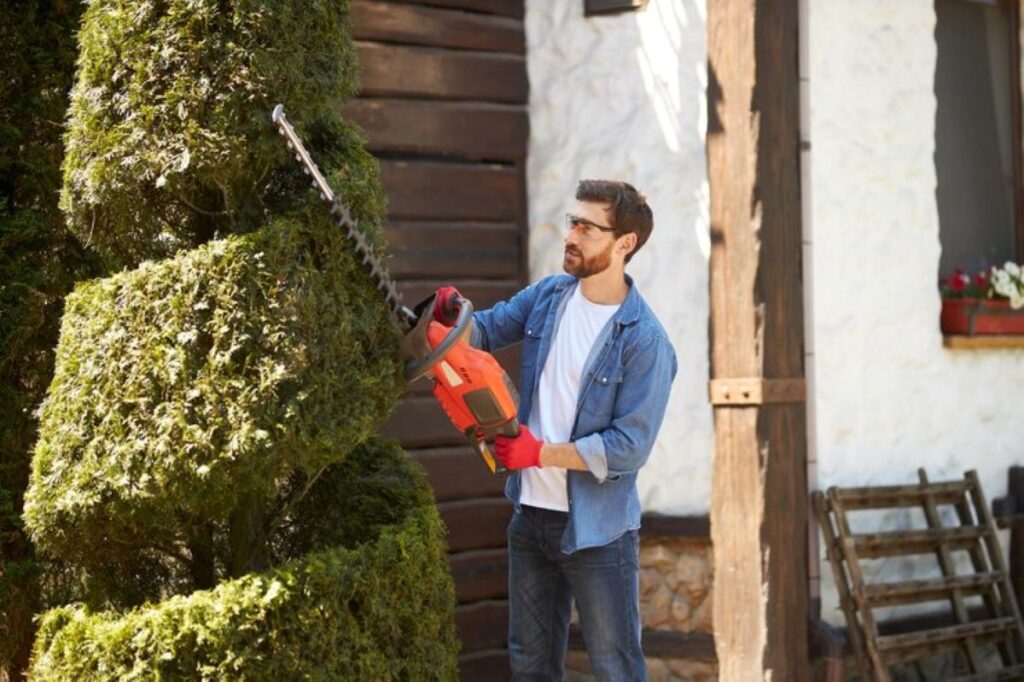 hedge trimming service