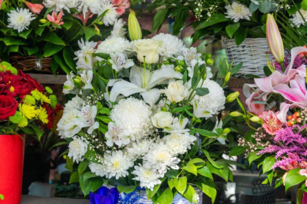 Florist Wollstonecraft