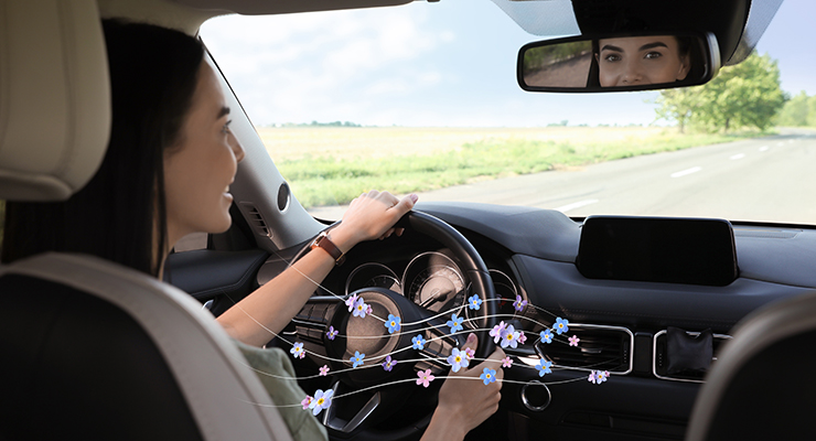 Custom Car Air Freshener