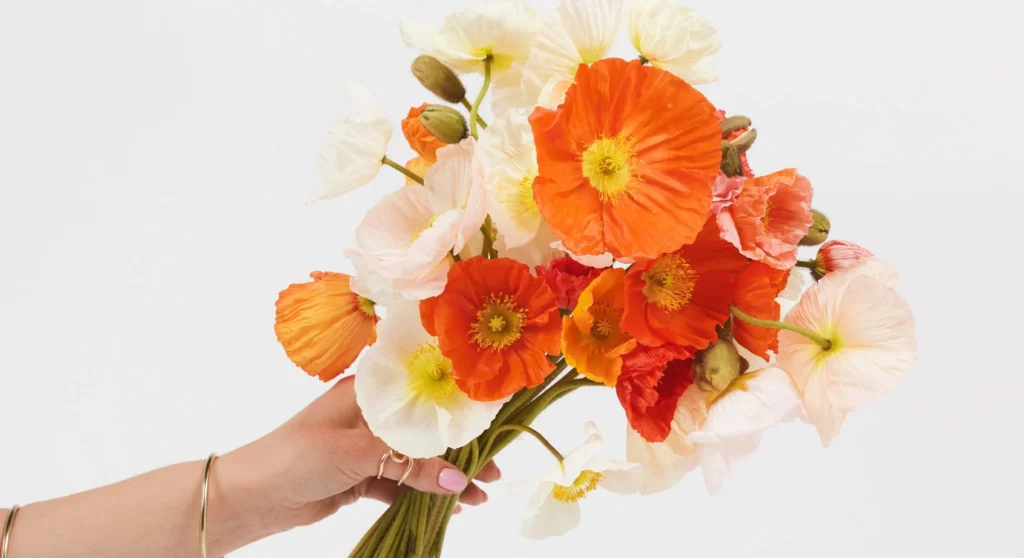 Birthday Flowers Sydney: A Local Guide to Sending a Great Gift
